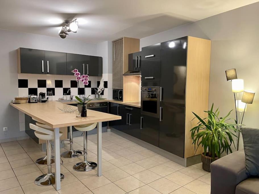 L'Ideal Cosy-Wifi-Netflix Et Garage Vienne Kültér fotó